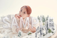 完全受注生産限定商品】南條愛乃/A Tiny Winter Story＜初回限定盤 + PHOTOBOOK＞+フォトパネル + 特典ブロマイドセット  | あにばーさる Ani+versal NBCユニバーサル公式オンラインショップ